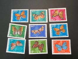 Schmetterling Ungarn/Magyar 1969 * mit Falz  (M855)