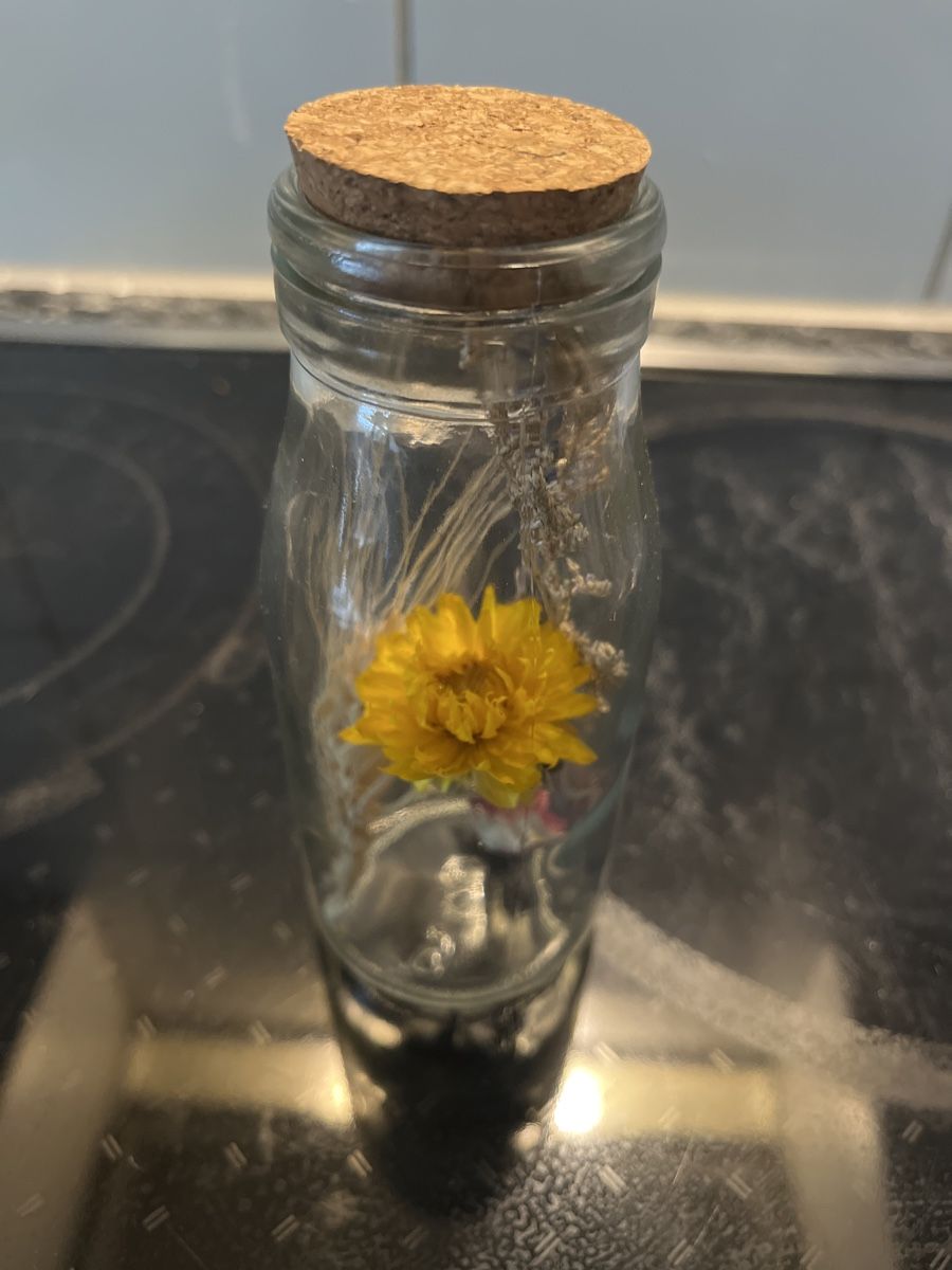 Tutte le decorazioni: Deko Flasche Trockenblume – Nuovo (secondo la descrizione) da Gockhausen venduto da Lali013 1