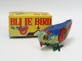 Bluebird Pickvogel Hüttensänger zum aufziehen Vogel