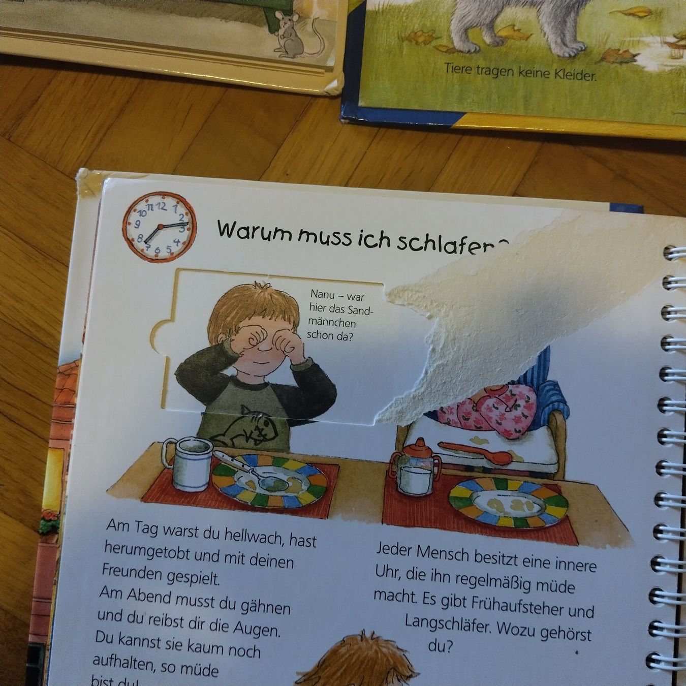 Livres: 3 Kinderbuecher Ravensburger Junior – D'occasion à Oberdorf NW par niederj 5
