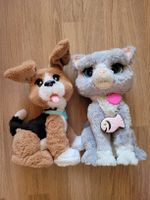 sprechende Katze und Hunde Spielzeug
