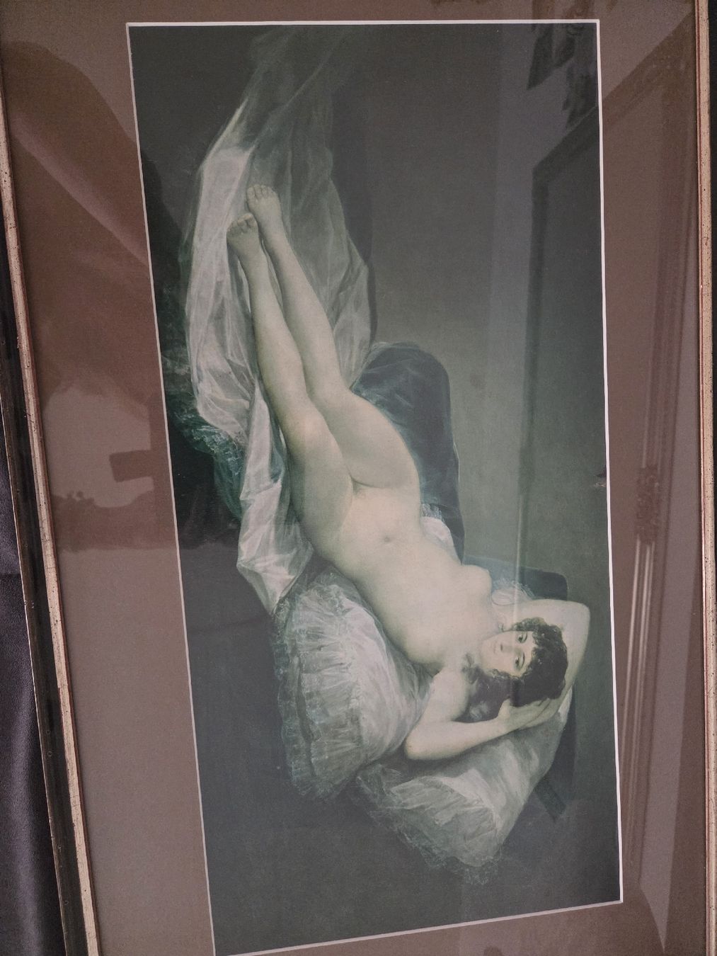 Foto & Immagini: la Maja desnuda  – Usato da Seuzach venduto da spe_95zb 1