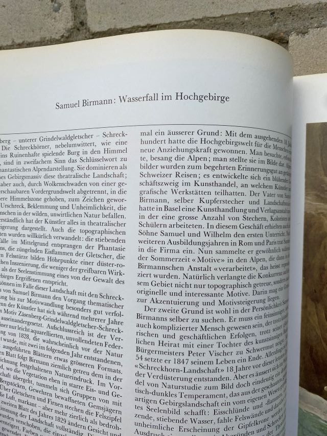 Libri: Schweizer Maler 100 Titelbilder des Schweizerischen Beobacht – Usato da Diessenhofen venduto da Albin00 2