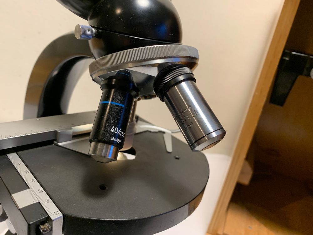 Microscope binoculaire Zeiss Winkel Kaufen auf Ricardo