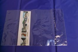 20 gelochte Archivblätter (4-teilig) für Sammlungen