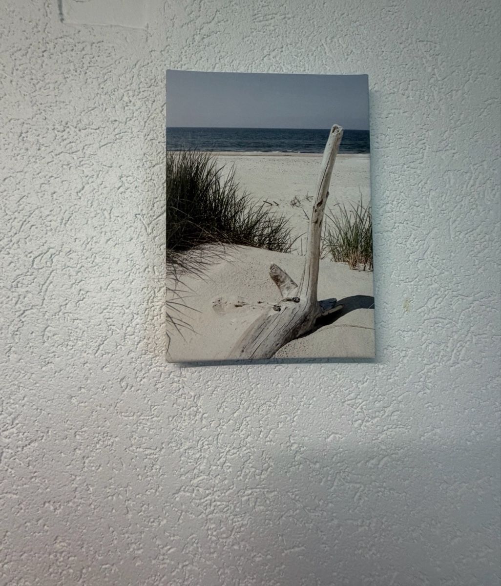 Poster & Bilder: 5 Leinwandbilder Set Meer Strand Küste   – Gebraucht aus Basel von sai_7h5f 3