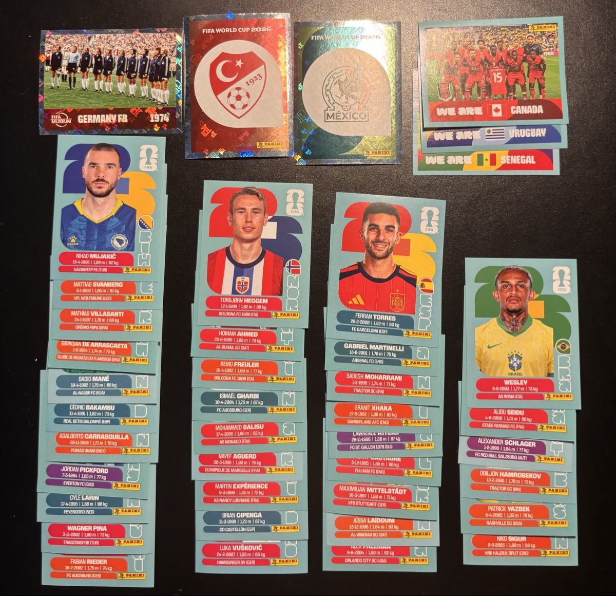 Panini Carte collezionabili: Panini World Cup 2026 Stickers Collection Bundle – Nuovo (secondo la descrizione) da Ascona venduto da ElfieLove