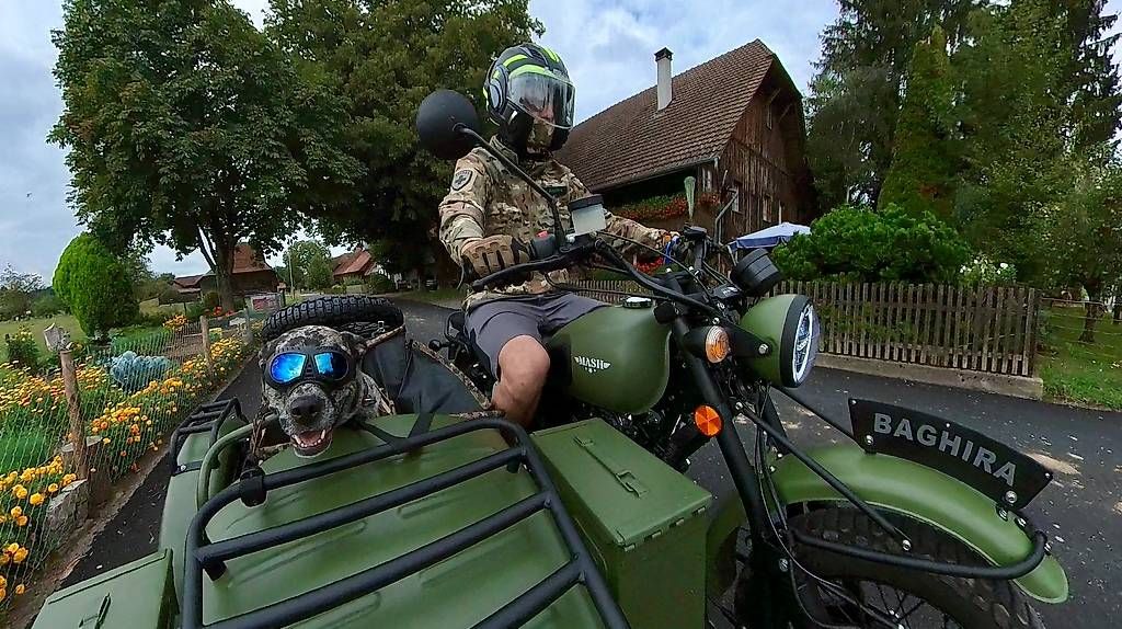 Mash Sidecar: Mash Side Force – Usato da Aarwangen venduto da Dukemel0 1