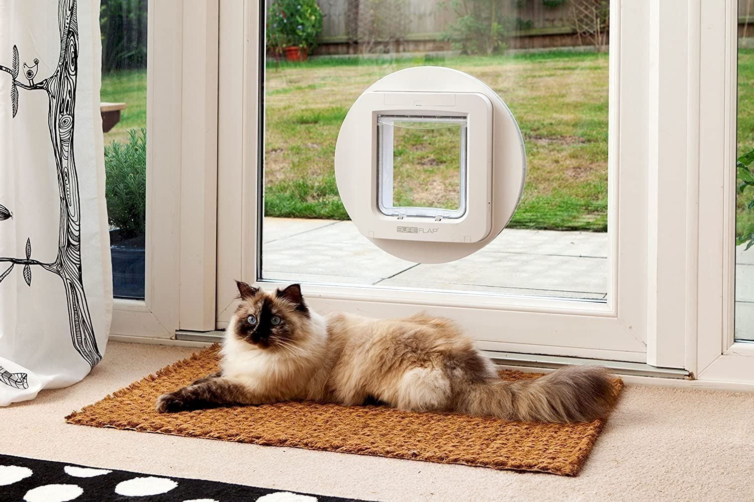 Katzenklappen: SureFlap XL Mikropchip Haustierklappe – Neu und originalverpackt aus Bottighofen von zaap 3