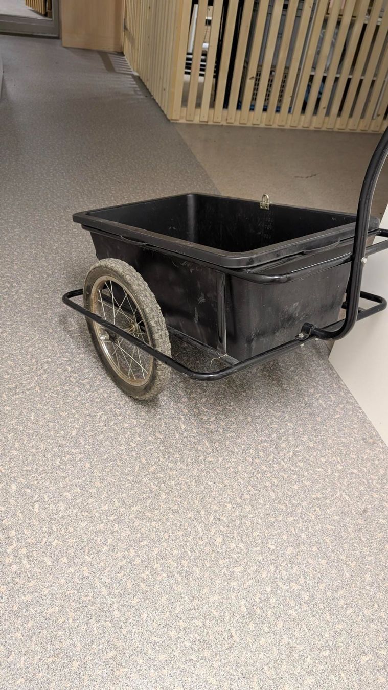 Rimorchi: Veloanhänger – Usato da Ruswil venduto da fam-emm 2