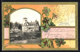 Grusskarten-AK Schleusingen, Waldhaus Vi