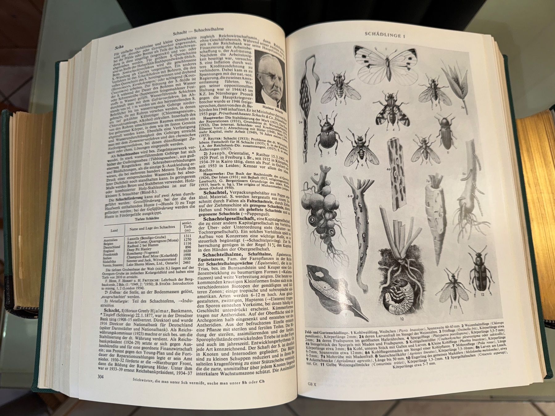 Libri: Der grosse Brockhaus 14 Bände 1953 – Usato da Grosswangen venduto da Second_hand_paradise 8