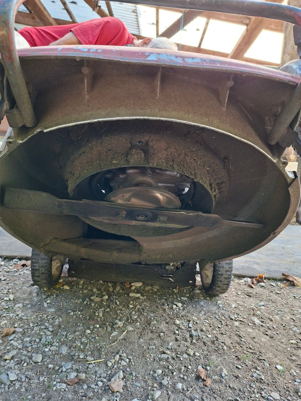 Honda Tagliaerba: Honda Rasenmäher – Usato da Ueken venduto da Loeffelms13 3