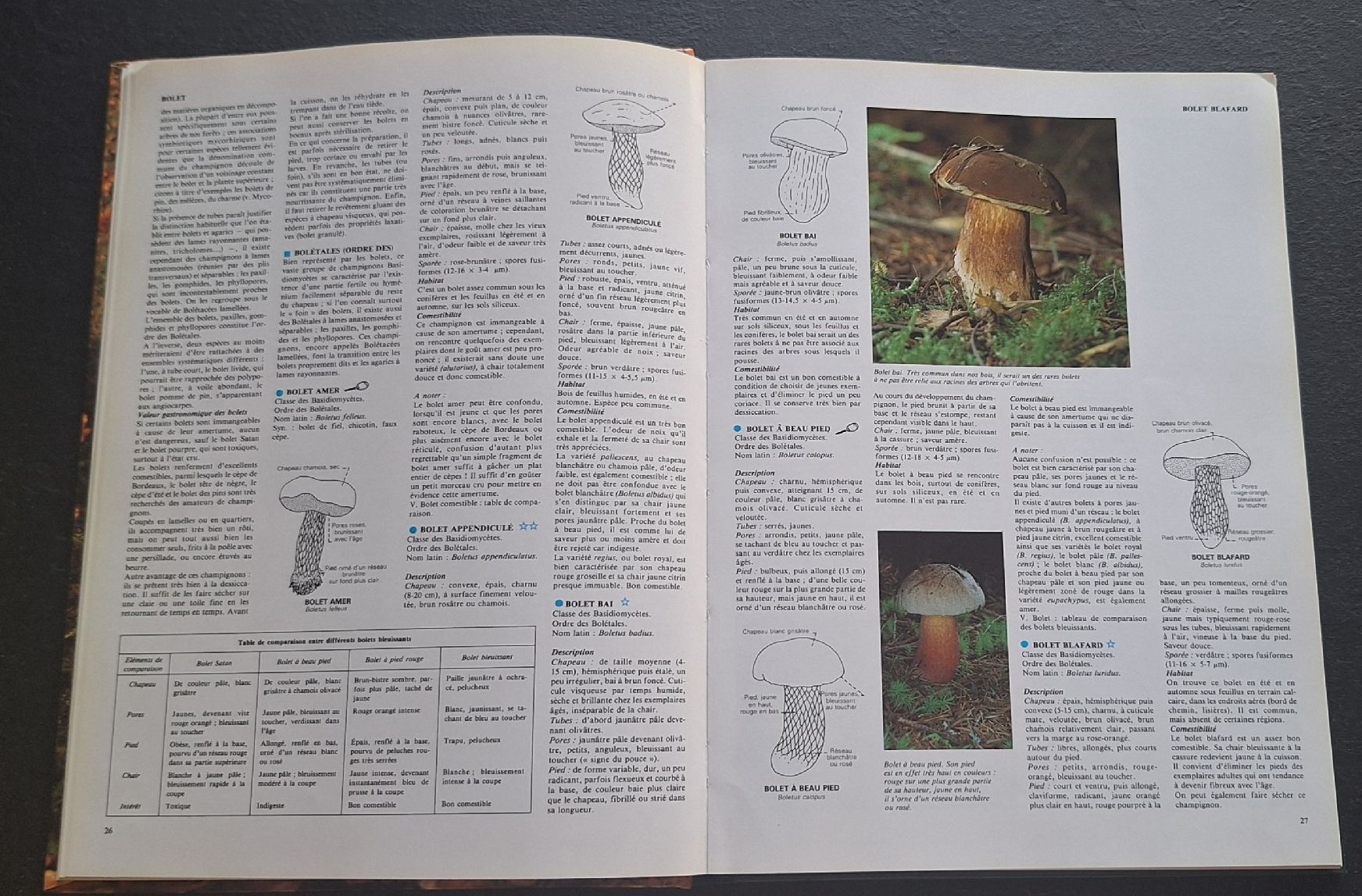 Libri: 2 livres sur les champignons – Usato da Monthey venduto da ditty 3