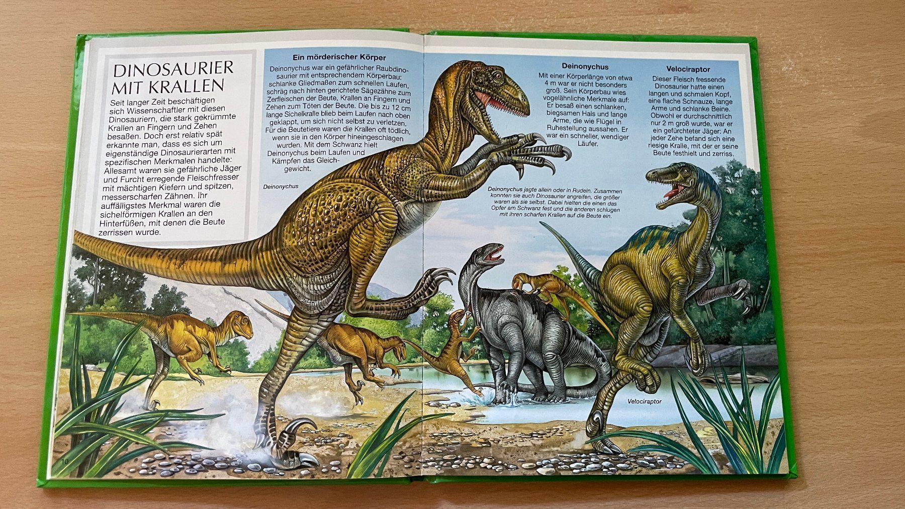 Libri: Dinosaurier – Usato da Glattfelden venduto da cybermaxx 5
