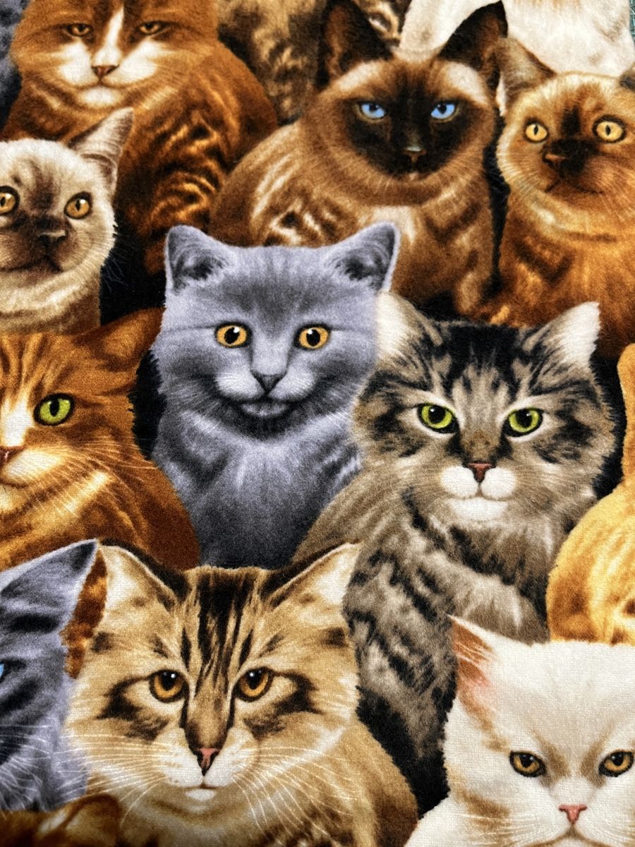 Stoffe: Patchworkstoff Flannel Katzen – Neu (gemäss Beschreibung) aus Seuzach von KreativmitStoff