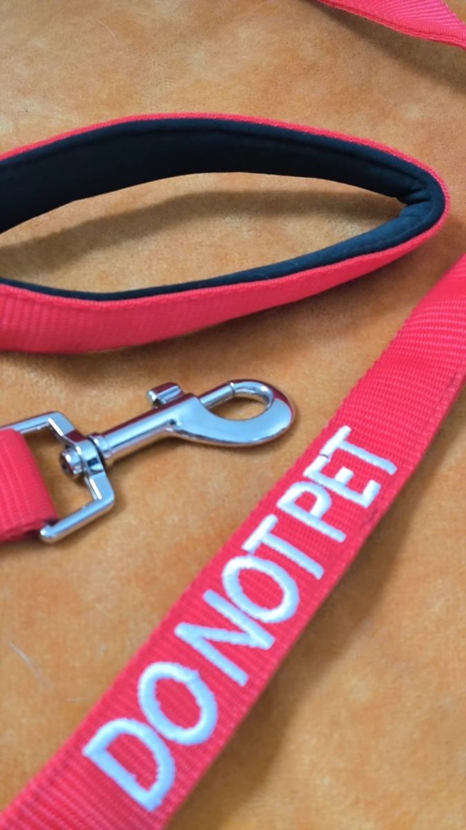 Leine & Halsband: Hundeleine – Gebraucht aus Seuzach von laj_p6gj 1