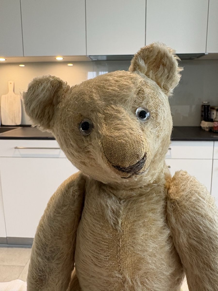Steiff Giocattoli: Steiff Teddy – Usato da Schönenberg ZH venduto da Roxana8820 1