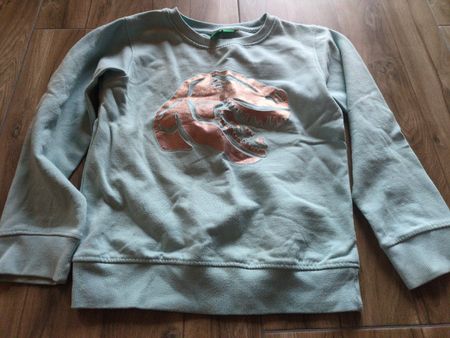 Jungen Pullover hellblau Dinosaurier Grösse 122/128