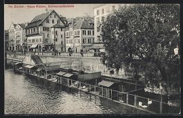 AK Zürich, Haus Rüden, Schwanenkolonie
