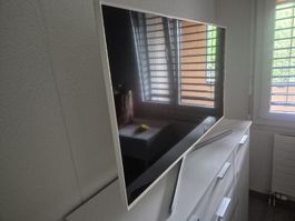 Samsung Fernseher 48"