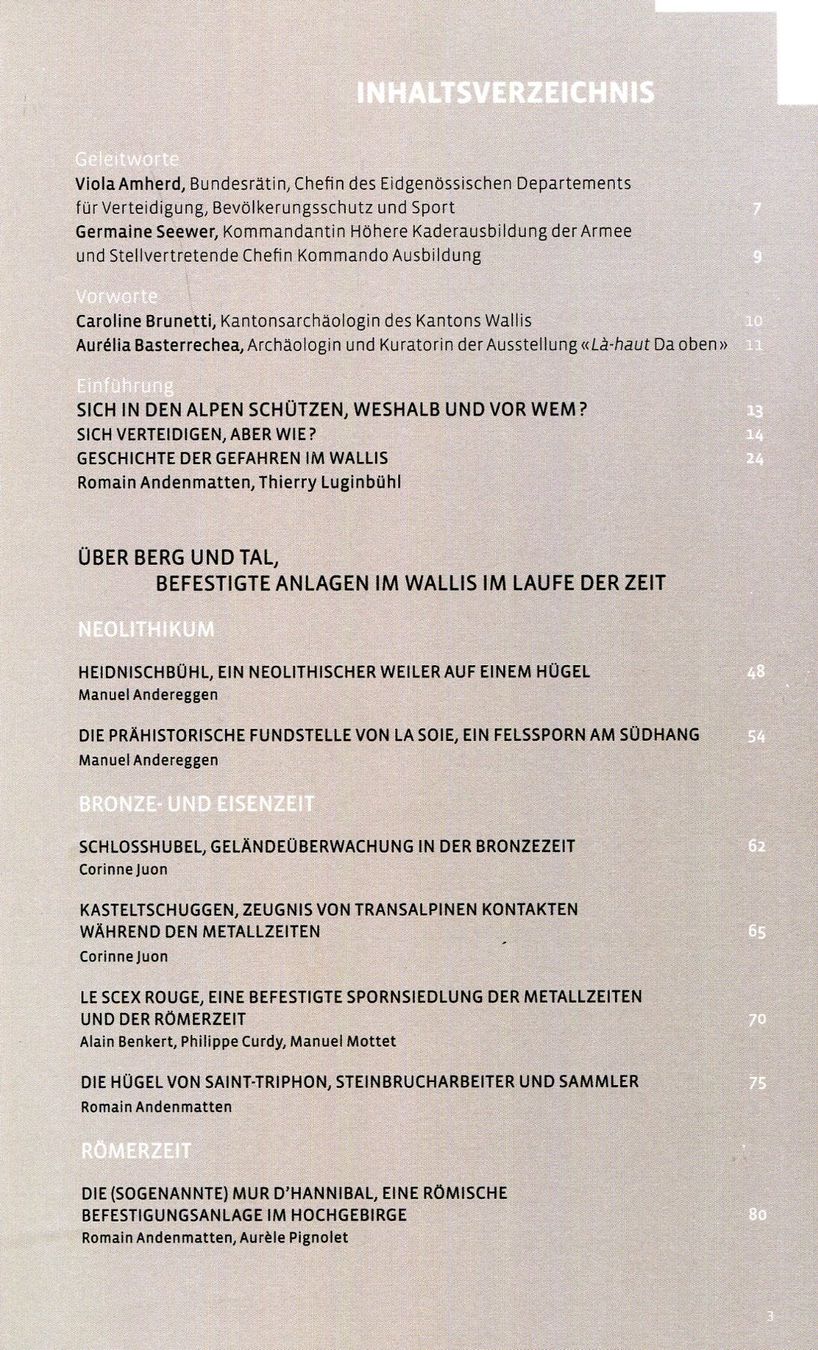 Livres: Wallis, Befestigte Anlagen – D'occasion à Aarau par Elmaar41 2
