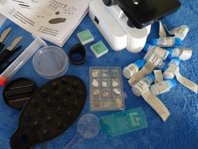 Microscopi: Mikroskop. Plus gratis Experimentier-Set – Usato da Berikon venduto da Akronym55 3