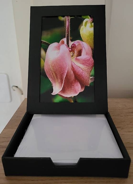 Blocchi: Notizbox Akalei rosa NEU – Usato da Chur venduto da Frei3912 1