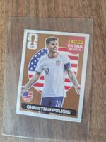 Panini extra Sticker Pulisic bronze