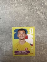 Panini CZE 2