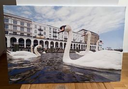 Leinwandbild Hamburg Alster mit Schwänen  75 × 50 cm