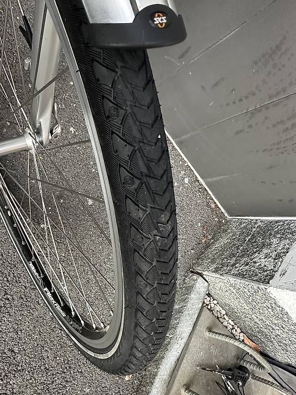 Velos: E-bike da uomo Flyer Tropical 28 – Gebraucht aus Quartino von DiloUsato 5