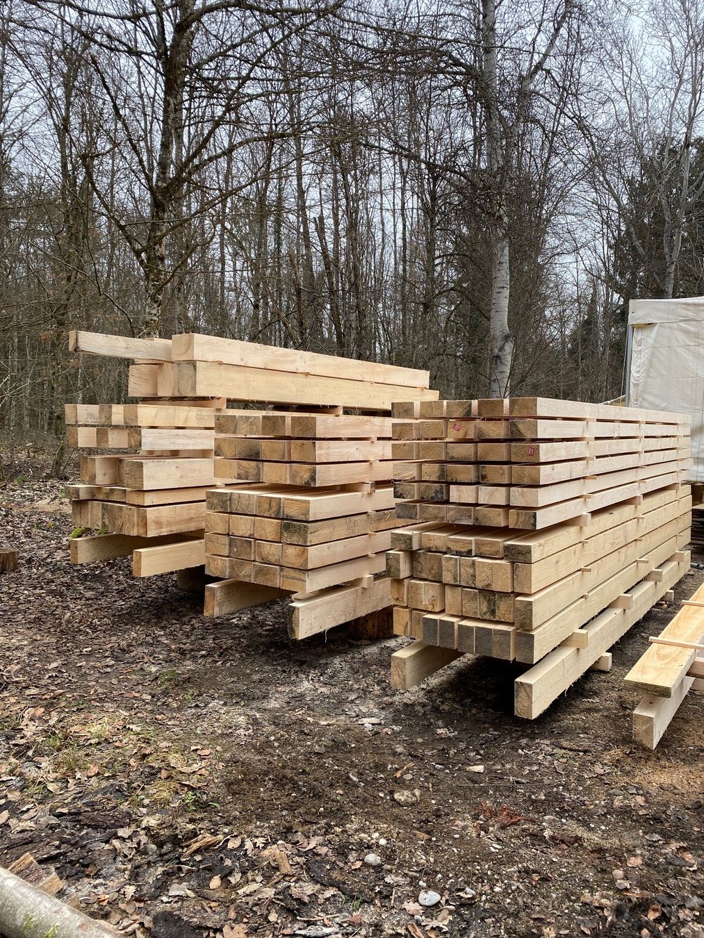 Holzartikel: Balken / Doppellatten 60x60mm, Schweizerholz – Neu (gemäss Beschreibung) aus Wallisellen von CH-Holz-CH 6