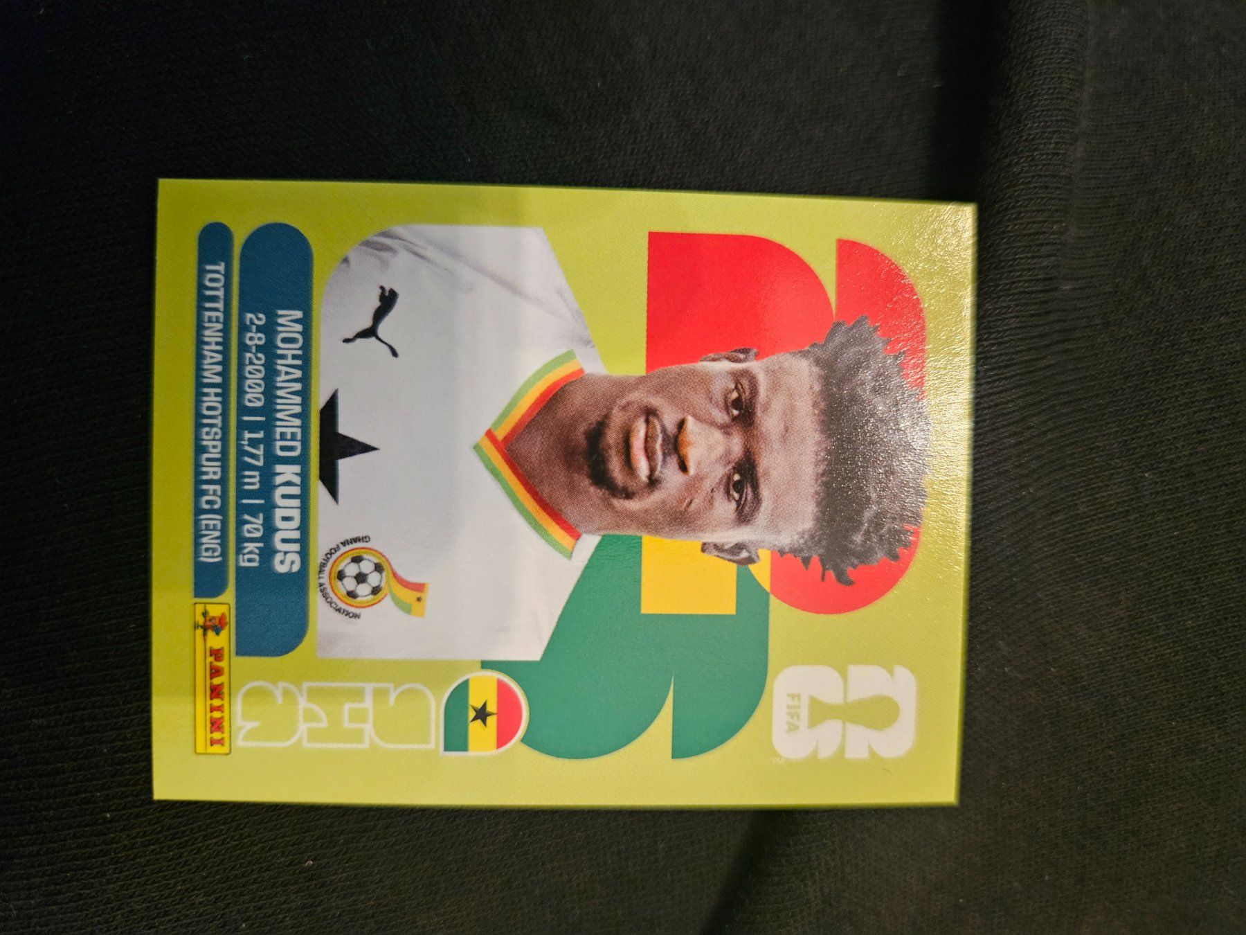 Panini Carte collezionabili: GHA14 – Usato da Würenlingen venduto da Dinli