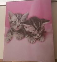 grosses Wandbild Katzen