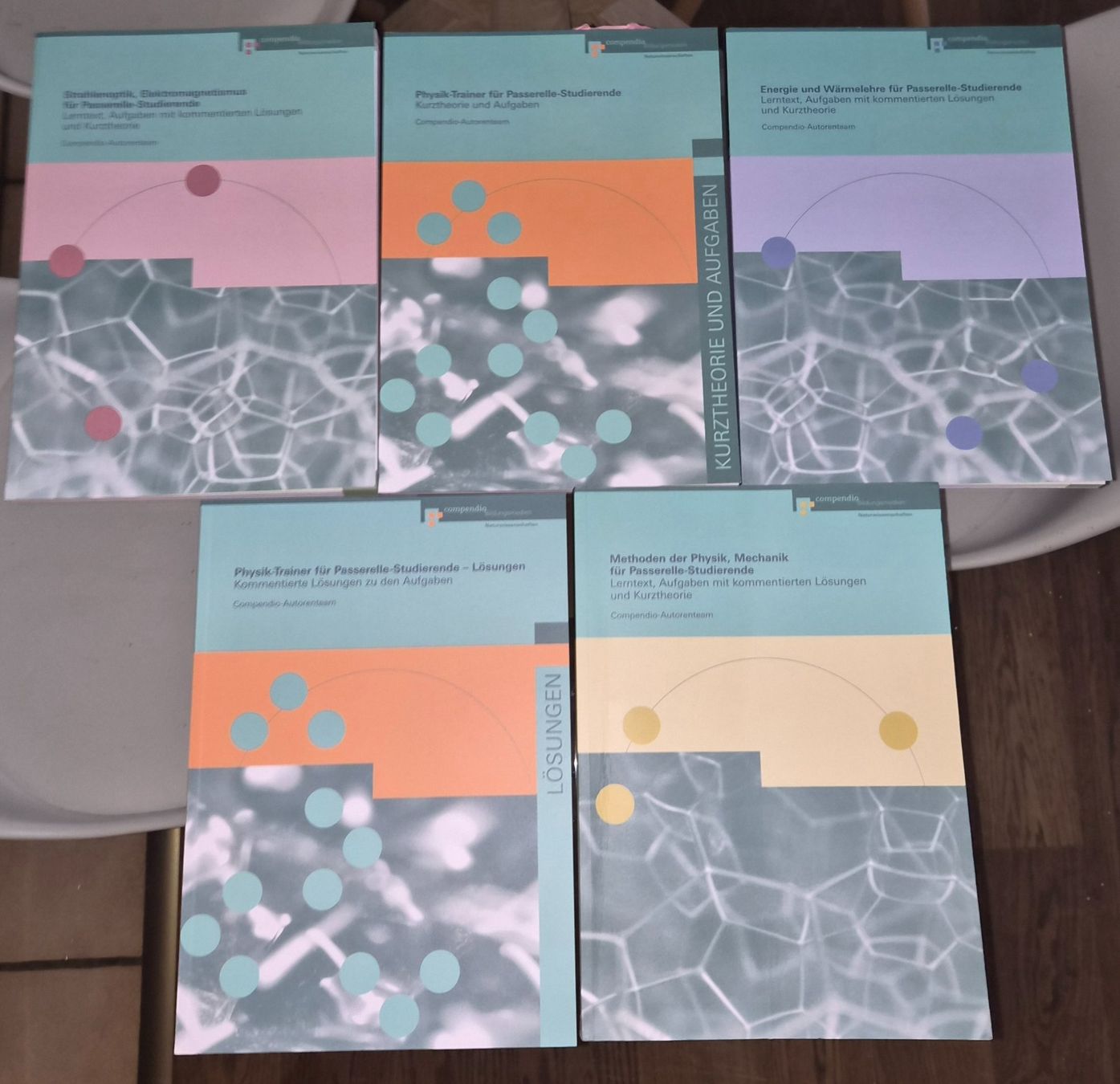 Libri: Passerellenbücher komplett AME 2026 – Usato da Lenzburg venduto da Rafiitoo 5