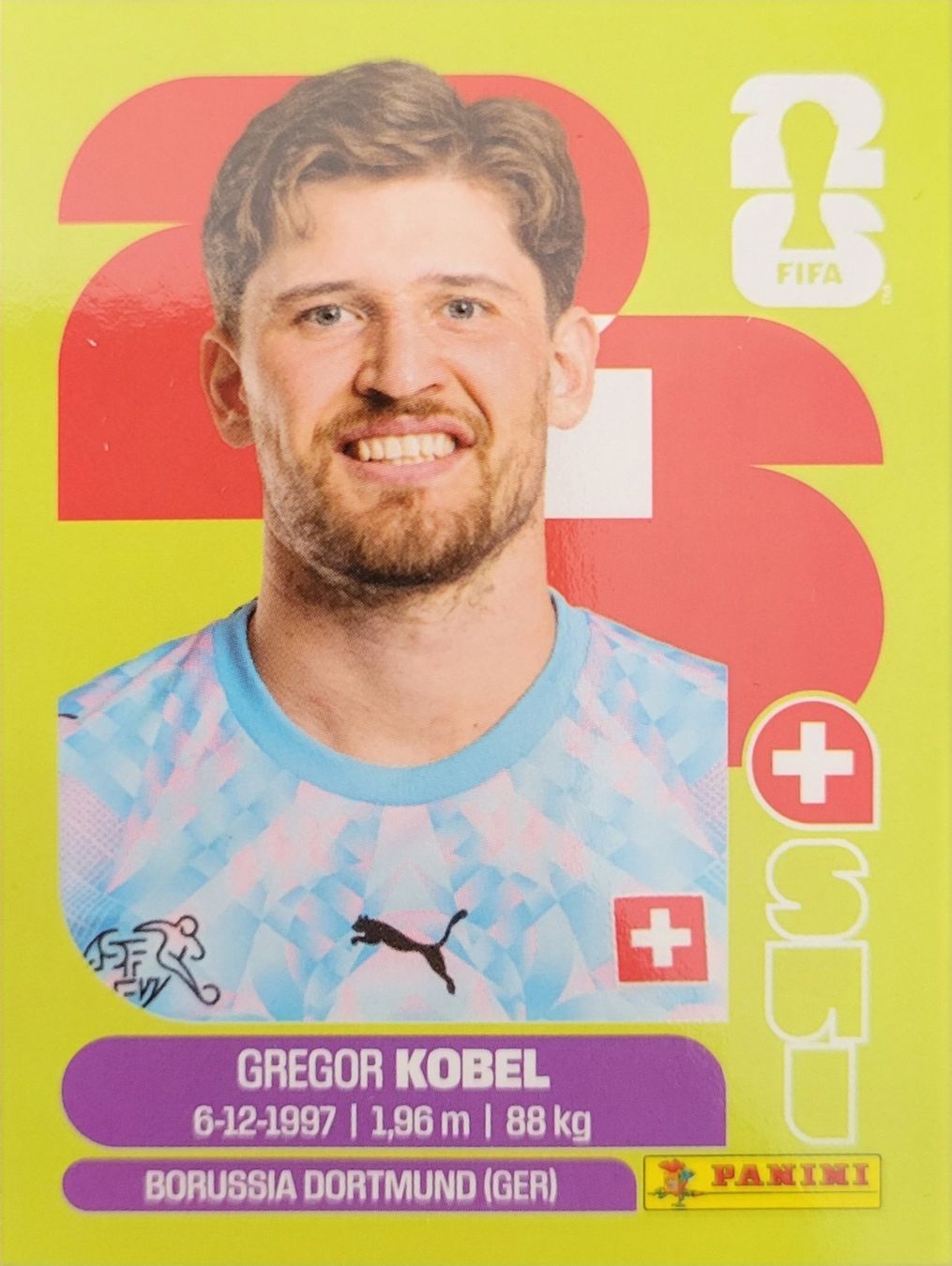 Panini Sammelbilder & Trading cards: Panini FIFA World Cup SUI 2 – Neu (gemäss Beschreibung) aus Wallisellen von never_give_up