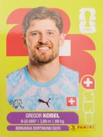 Panini FIFA World Cup SUI 2