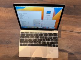MacBook 12 Zoll 2017 gold