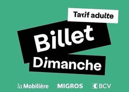 4 billets adultes PALEO dimanche à vendre