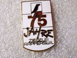 Ansteckpin 163: Ziegelei Rapperswil