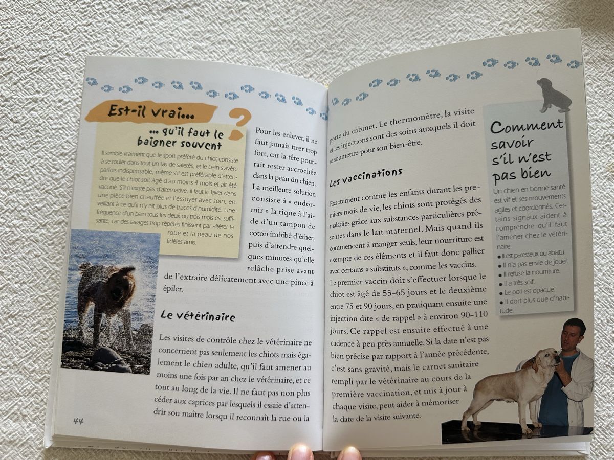 Libri: Mon chien – Usato da Les Bioux venduto da ann_g9bh 3