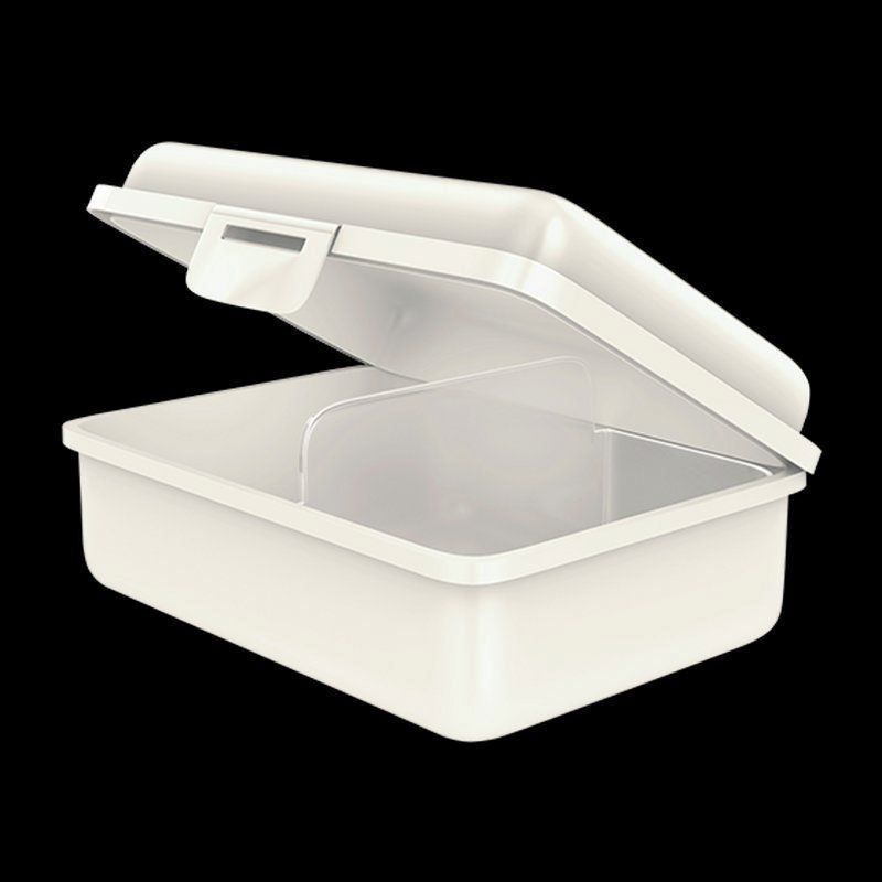 Contenitori & Simili: Fizzii Lunchbox mit Trennfach Einhorn – Nuovo e nell'imballaggio originale da Walenstadt venduto da Trend-24 1