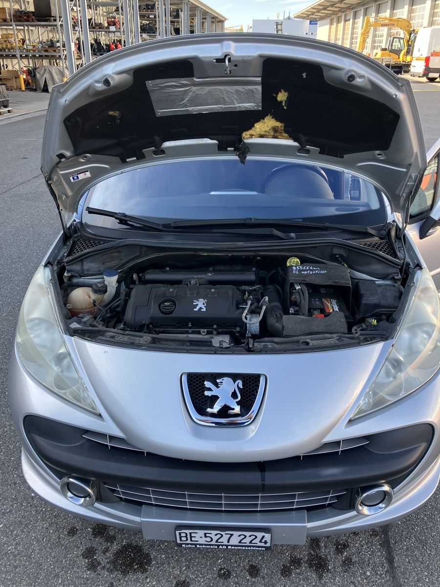 Peugeot Automobili: Peugeot 207 – Usato da Unterseen venduto da krampo 2