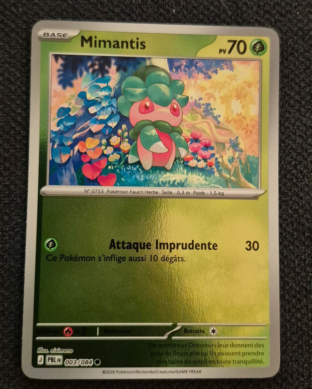 Pokémon Carte collezionabili: MIMANTIS 003/084 REVERSE POKEMON NUIT NOIRE – Usato da Grand-Lancy venduto da luc111