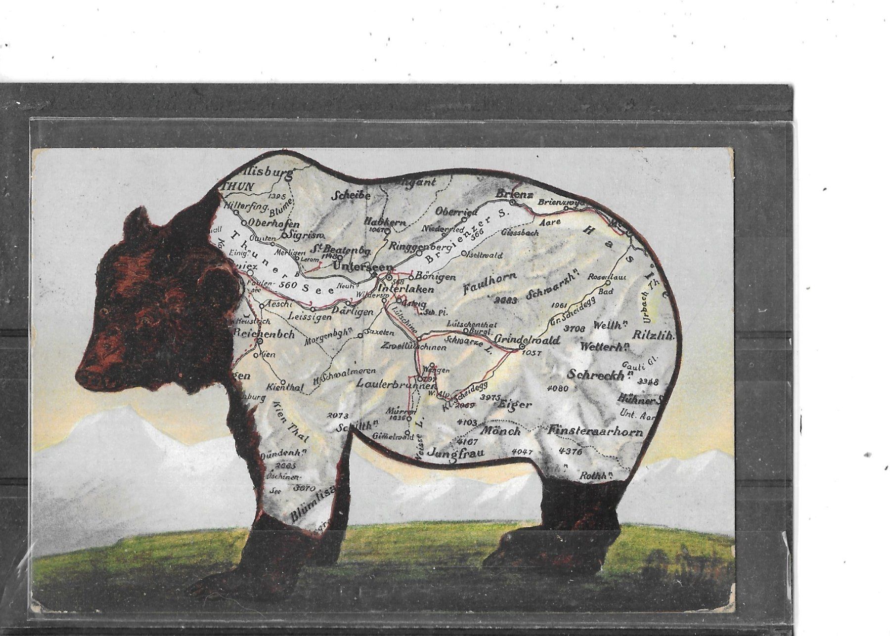 Cartes postales: BE Bärenkarte 1917 – D'occasion à Schocherswil par Wilare