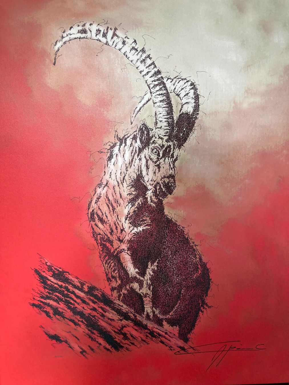 Foto & Immagini: Steinbock Bild  65/85cm Druck auf Leinwand – Usato da Forch venduto da Toyota012