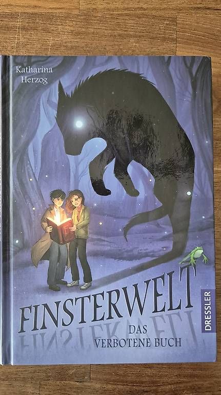 Libri: FINSTERWELT, Das verbotene Buch – Usato da Lyss venduto da d_p_id