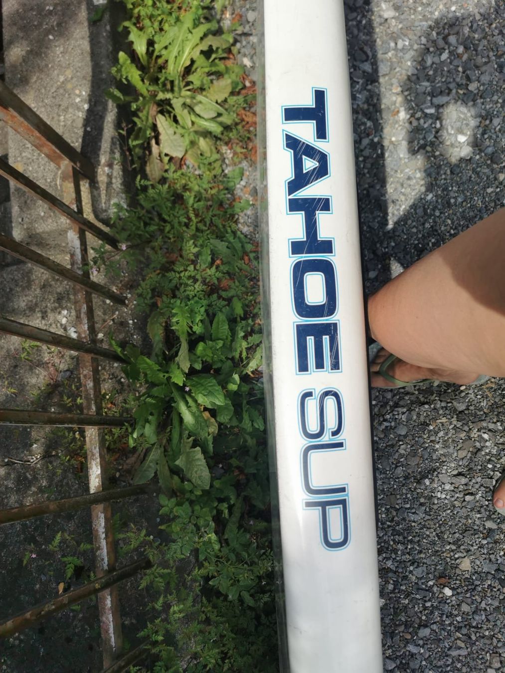Tavole da surf e di nuoto: Hardboard SUP – Usato da Brienz BE venduto da monischnyder 1