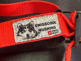 Swiss Cool Mushing Hundegeschirr, Dog Harness
